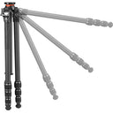 Vanguard VEO 5 234CPS36 Carbon Fibre Tripod with Pan Head