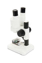 Celestron Labs S20 Stereo Microscope - Jacobs Digital