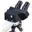 Omax 40x-2000x Compound Microscope w/ 1.3mp Camera - Jacobs Digital