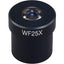 Omax WF25X Widefield Eyepiece for Stereo Microscopes 30.0mm - Jacobs Digital