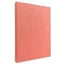 Profile Plush Pink Slip-in 200 Photos 4x6 Album Slipin Album - Jacobs Digital