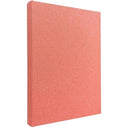 Profile Plush Pink Slip-in 300 Photos 4x6 Album - Jacobs Digital