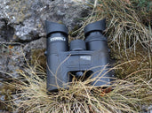 Steiner SkyHawk 4.0 8x32 Binocular - Jacobs Digital