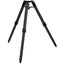 SkyWatcher Strain Wave 100i Strain Wave Mount with Tripod and Extension Tube - Jacobs Digital