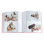 Profile Hello Baby Pink Slip-in 200 Photos 4x6 Album Slipin Album - Jacobs Digital